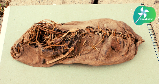 นี่คือการค้นพบ “รองเท้าหนัง”(อารีนิ 1) ซึ่งมีอายุประมาณกว่า 5,500 ปี